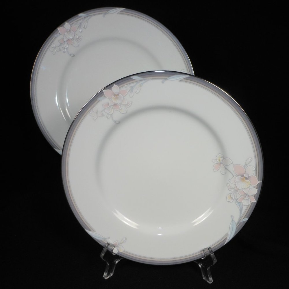 2 beautiful dinner plates. Noritake 3788 Evening Mood